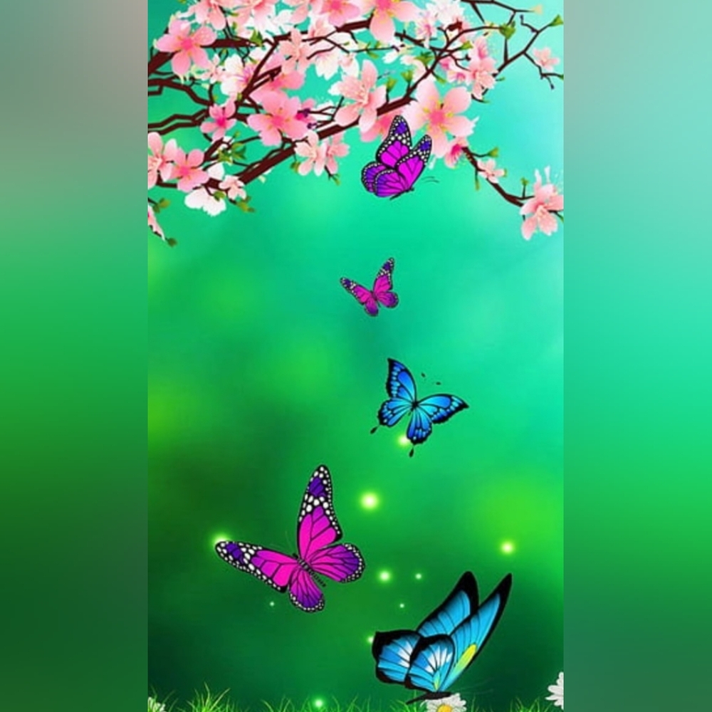 🦋Pop-up Silent Show🦋